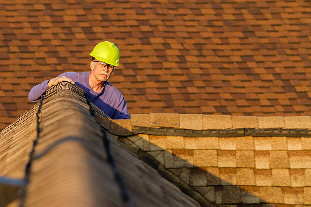 Roof Gutter Cleaning in West Point, KY