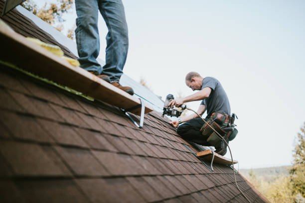 Best Metal Roofing Contractor  in West Point, KY
