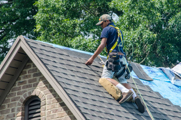 Best Roof Replacement Cost  in West Point, KY